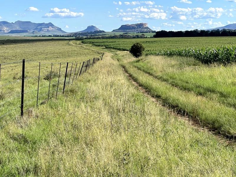 0 Bedroom Property for Sale in Bethlehem Rural Free State